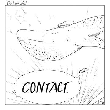 Contact